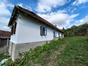 Casa la tara in județul Sibiu - imagine 2