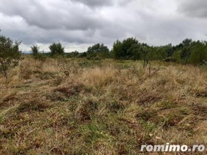 Teren extravilan, 6000 mp, in Selimbar la 5 km de Sibiu  - imagine 9