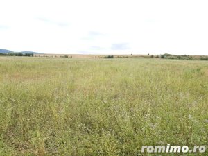 Teren extravilan, 6000 mp, in Selimbar la 5 km de Sibiu  - imagine 2