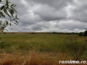 Teren extravilan, 6000 mp, in Selimbar la 5 km de Sibiu  - imagine 10