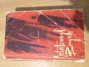 Jan Otcenasek - Cetateanul Brych