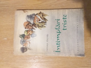 Tamara Pinzaru - Intamplari triste