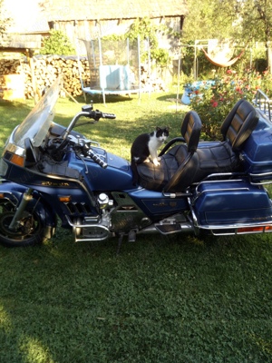 honda goldwing 1200 interstate - imagine 4