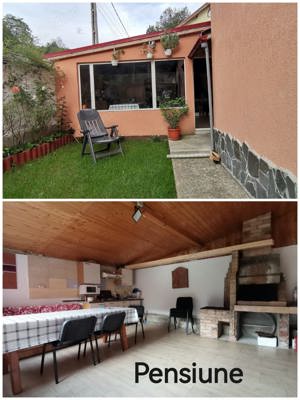 Cazare Busteni - Pensiune Octavian, Vila 4 cam. & Apartament 3 cam. - imagine 2