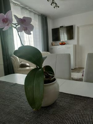 Apartament zona Teilor - imagine 2