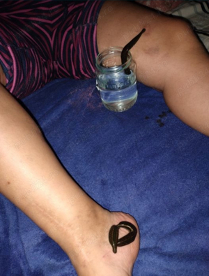 Masaj Stravechi Tibetan