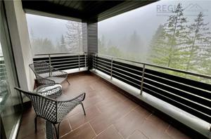 Proprietate exclusivista 4 camere Silver Mountain - imagine 15