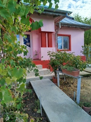 Proprietar vad casa Comuna Bucsani sat Obedeni,jud Giurgiu - imagine 4