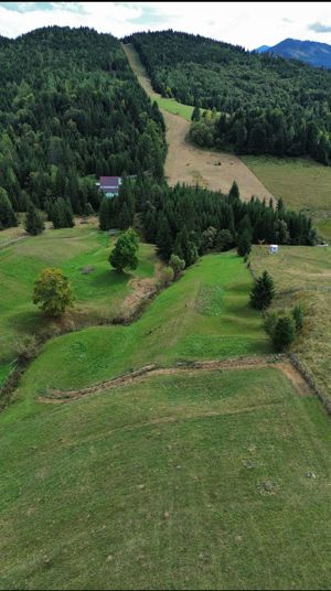 Vând teren Piatra Fantanele - pasul Tihuta - langa Castelul Dracula  - imagine 5