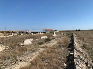 Teren 12.481mp intravilan, pretabil hale depozitare sau producție industrială - imagine 4