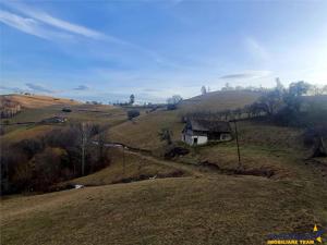 Oaza de liniste si frumusete, reconectare cu natura, 16.000 mp, Poiana Marului - imagine 14