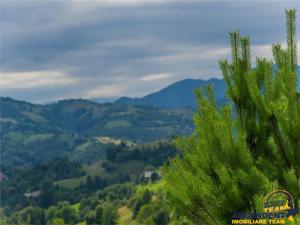 Oaza de liniste si frumusete, reconectare cu natura, 16.000 mp, Poiana Marului