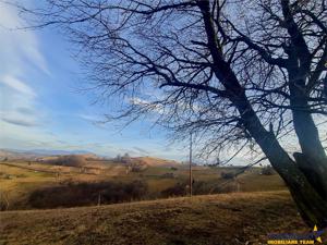 Oaza de liniste si frumusete, reconectare cu natura, 16.000 mp, Poiana Marului - imagine 18