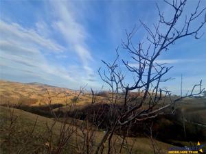 Oaza de liniste si frumusete, reconectare cu natura, 16.000 mp, Poiana Marului - imagine 20