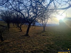 Oaza de liniste si frumusete, reconectare cu natura, 16.000 mp, Poiana Marului - imagine 12