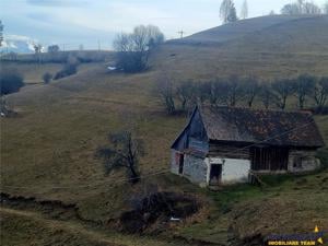 Oaza de liniste si frumusete, reconectare cu natura, 16.000 mp, Poiana Marului - imagine 3