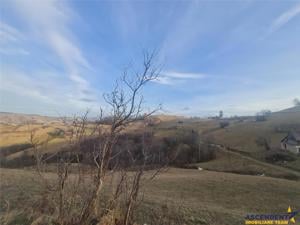 Oaza de liniste si frumusete, reconectare cu natura, 16.000 mp, Poiana Marului - imagine 15