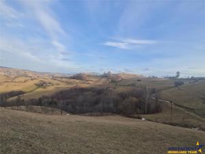 Oaza de liniste si frumusete, reconectare cu natura, 16.000 mp, Poiana Marului - imagine 17