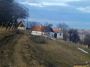 Oaza de liniste si frumusete, reconectare cu natura, 16.000 mp, Poiana Marului - imagine 6