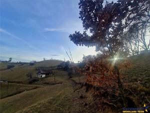 Oaza de liniste si frumusete, reconectare cu natura, 16.000 mp, Poiana Marului - imagine 5