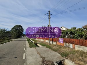 Vânzare casă P+1, în comuna Dănești, sat Șasa - la 10 km distanță de Tg. Jiu - imagine 17