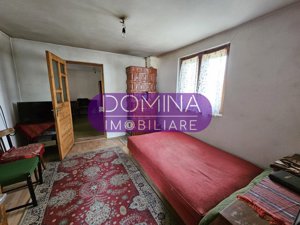 Vânzare casă P+1, în comuna Dănești, sat Șasa - la 10 km distanță de Tg. Jiu - imagine 7