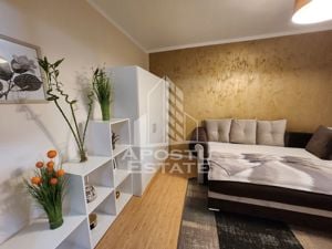 Apartament cu o camera, ideal pentru investitie,  zona Lipovei - imagine 3