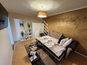 Apartament cu o camera, ideal pentru investitie,  zona Lipovei - imagine 2