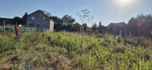 Teren 1000 mp, Oituz (Constanța) - imagine 4