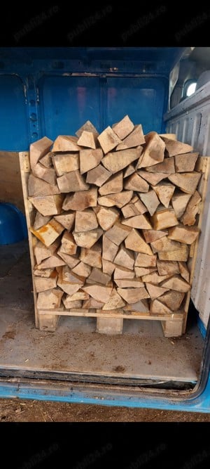 Vînd Lemne de foc USCATE Stejar Fag Paletat  