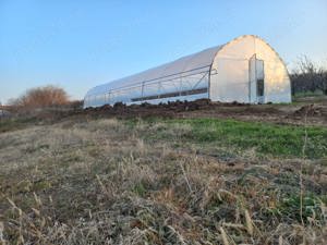 Producem solar gradina rezistente structura galvanizata folie 180 microni garantie 3 ani kit complet