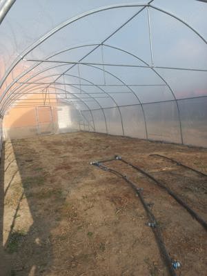 Producem solarii gradina rezistente structura galvanizata folie UV 180 microni 3 ani garantie latera