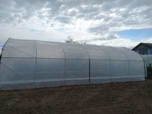 Distribuim solarii legume rezistente teava zincata folie 180 microni garantie 3 ani laterale aerisir