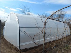 Oferim solarii gradina profesionale teava zincata folie UV 180 microni garantie 3 ani laterale aeris