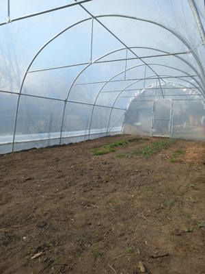 Oferim solar legume profesionale structura galvanizata folie 180 microni garantie 3 ani kit complet 