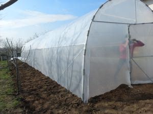 Producem solarii legume rezistente structura galvanizata folie 180 microni garantie 3 ani kit comple