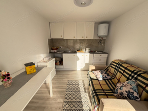 vand teren dumbravita 79000 euro - imagine 4