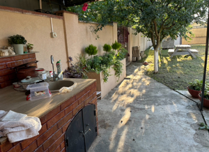 vand teren dumbravita 79000 euro - imagine 5