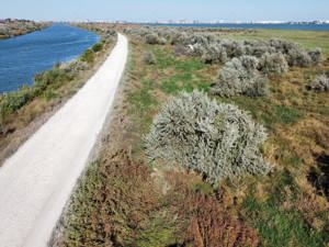 Vand teren Mamaia Sat  pe malul lacului Siutghiol 