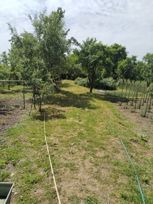 Vând casa 3 camere în localitatea Voivodeni jud. Mures - imagine 4