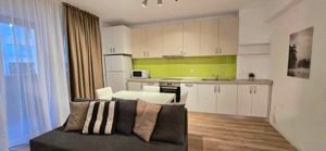 Apartament tip studio de inchiriat, Iosia Residence - imagine 3