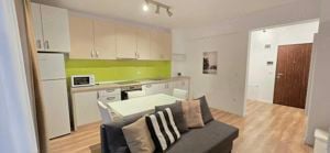 Apartament tip studio de inchiriat, Iosia Residence - imagine 4