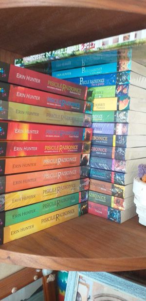 Vand Pisicile Razboinice volumul XII