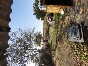 Casa de vânzare Tuzla, Constanța cu teren proprietate   - imagine 3