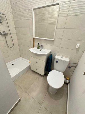 Apartament 3 camere Theodor Pallady - imagine 9