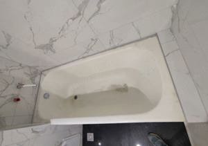 Emailat Recondiționare cazi fonta tabla,otel - imagine 2