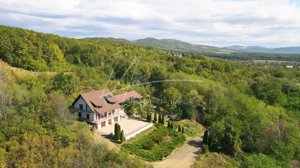 Hidden Hills Villa. Un Mansion House inconjurat de padure - imagine 2