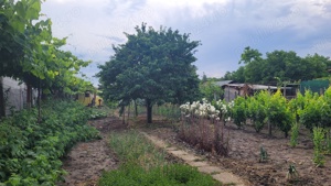 Teren pentru casa in Satu Nou, Medgidia, Jud. Constanta - imagine 2