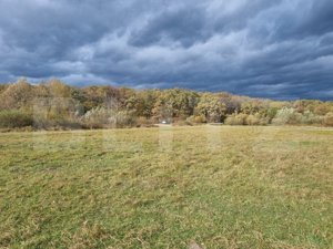 TEREN de vanzare INTRAVILAN in Sibiu PANORAMA DEOSEBITA, ZONA LINISTITA - imagine 6