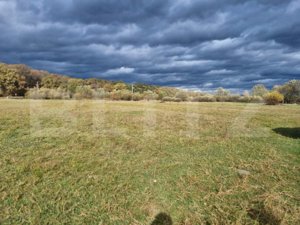 TEREN de vanzare INTRAVILAN in Sibiu PANORAMA DEOSEBITA, ZONA LINISTITA - imagine 7